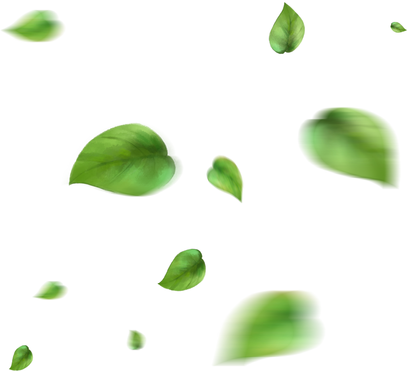 Navyug%20Ayurveda