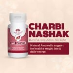 CHARBI NASHAK