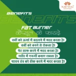 FAT BURNER - Image 5