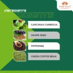 FAT BURNER - Image 3