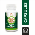FAT BURNER - Image 2
