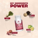 CHARBI NASHAK - Image 12