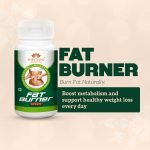 FAT BURNER - Image 9