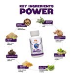 DR JOINT CAPSULE 30/60 - Image 9