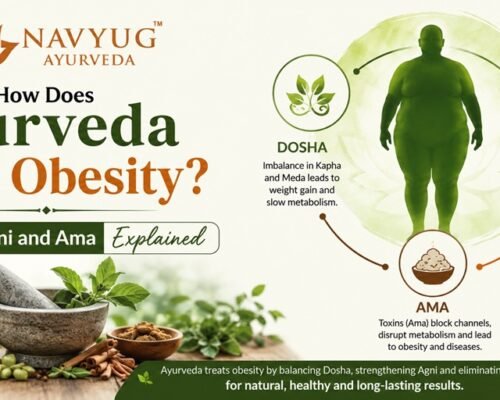 How Does Ayurveda Treat Obesity? Dosha, Agni and Ama explained with Ayurvedic concepts for weight management.